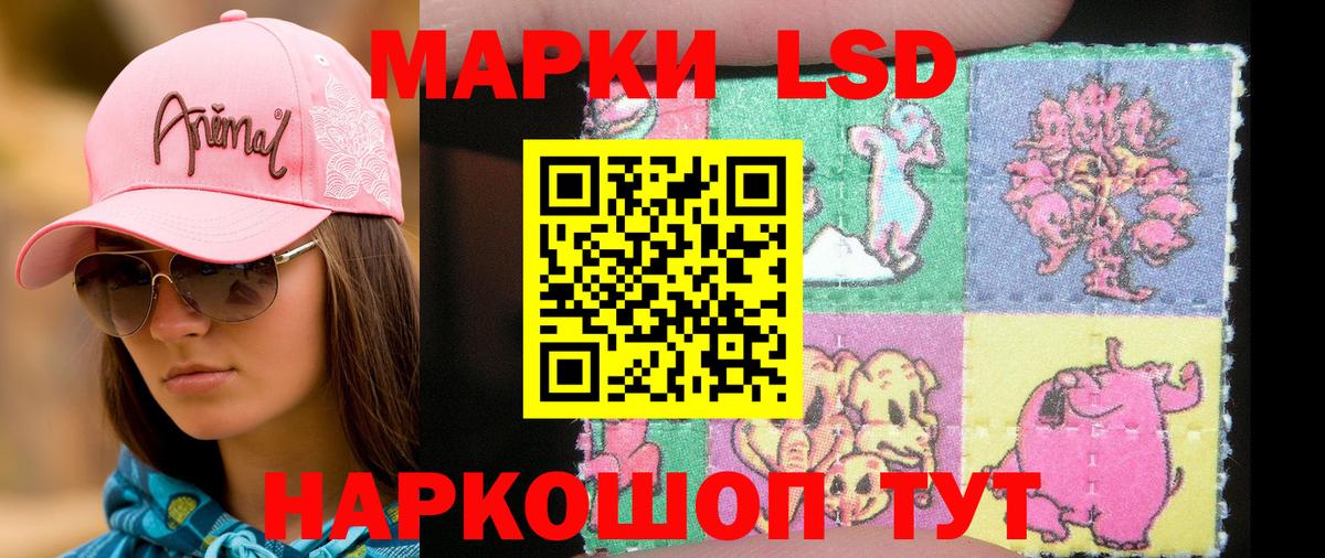 Марки 25I-NBOMe 1,5мг  Вход с VPN  Лесной 