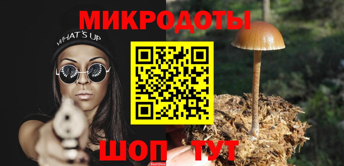 Псилоцибиновые грибы мицелий Лесной